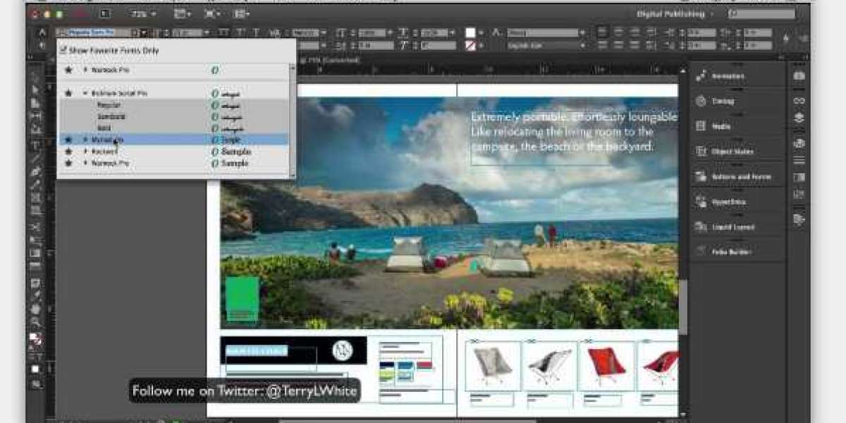 Adobe InDesign training Toronto